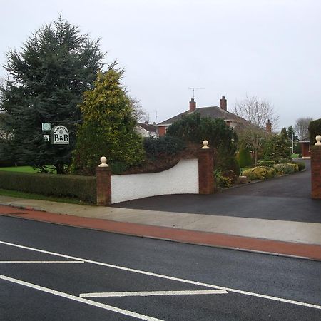 Meadow View B&B Navan Extérieur photo
