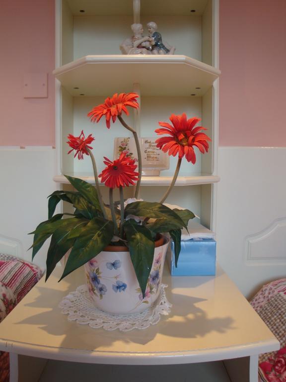 Meadow View B&B Navan Extérieur photo